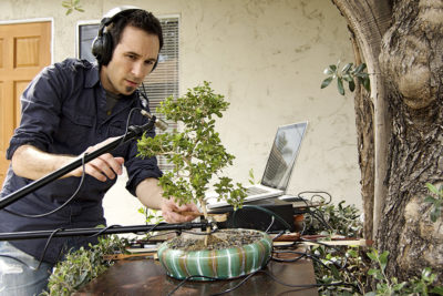 Diego Stocco making "Music From a Bonsai".