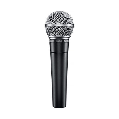 A dynamic addition to small mic collections -- the Shure SM58.