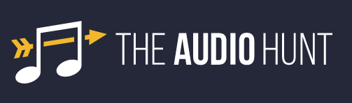The Audio Hunt: Running Your Tracks Through Iconic Studio Gear Online?